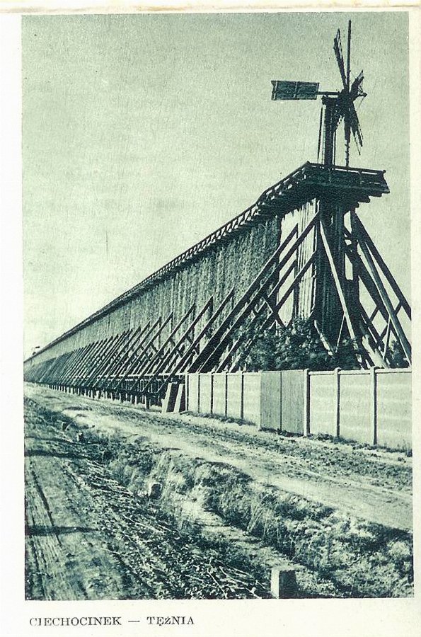 BP Teznia nr 21