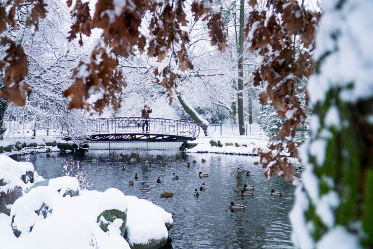 Park Zdrojow D.Kaniewski 4 768x512