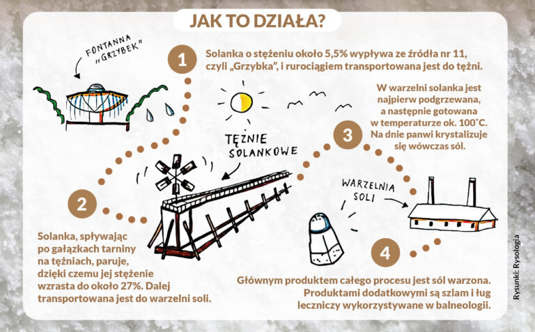 SCHEMAT FABRYKA SOLI 768x477