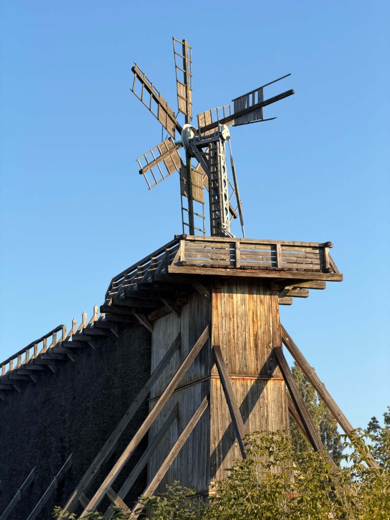 Teznia nr 2 D.Kaniewski 5 768x1024